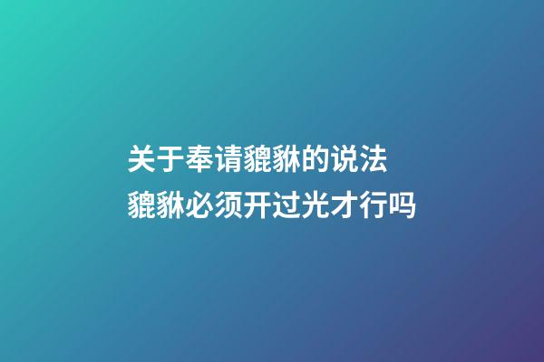 关于奉请貔貅的说法 貔貅必须开过光才行吗